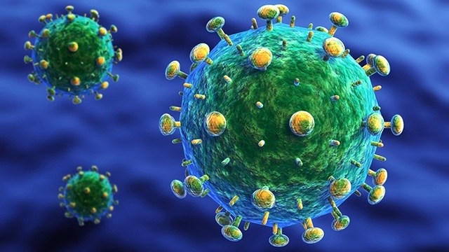 Virus HIV (Ảnh minh họa)