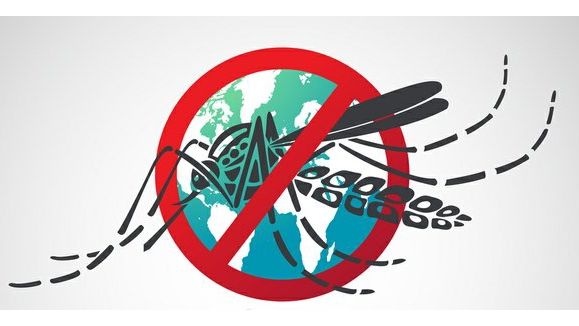 WHO: Thế giới cần tăng cường cuộc chiến với bệnh sốt rét