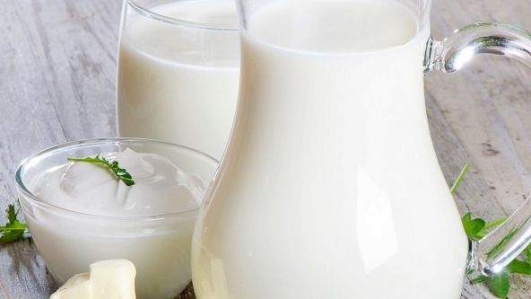 Vì sao nhiều người không uống được sữa?
