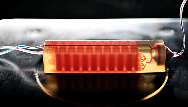 Bẫy tế bào in 3D bắt giữ các tế bào máu để phân lập các tế bào khối u từ mẫu máu. Ảnh: Georgia Tech