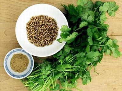 Cực tốt và cực độc, biết mà tránh khi ăn rau mùi kẻo rước ung thư vào người