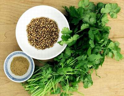Ăn rau mùi ở số lượng vừa phải sẽ giúp loại bỏ các vấn đề về gan nhưng nếu lạm dụng, các thành phần trong rau sẽ làm việc ngược lại. Điều này làm tăng bài tiết mật và cuối cùng sẽ khiến gan bị tổn thương. Ảnh minh họa: Internet
