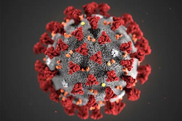 Hình mô phỏng virus corona chủng mới. Ảnh: SCMP