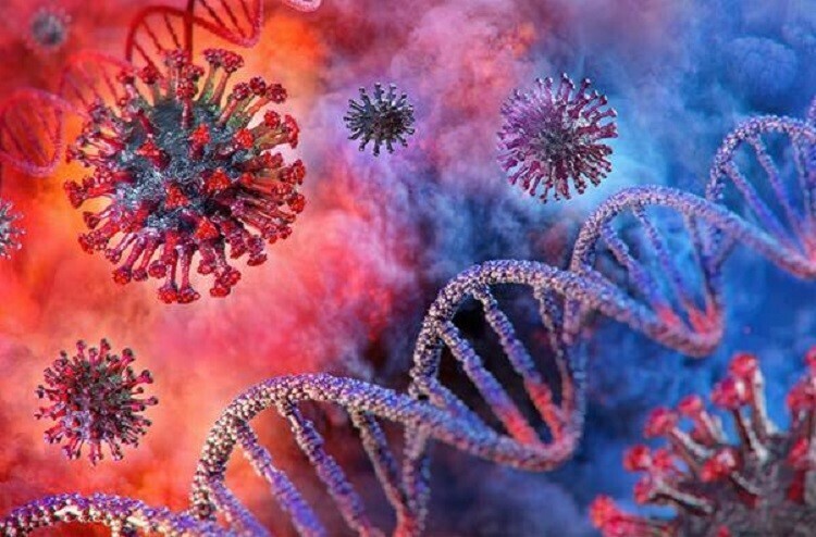 Đánh giá nguy cơ nhiễm virus nhờ giải mã gene
