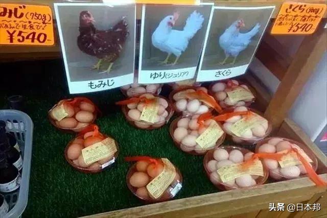 Tại sao người Nhật lại thoải mái ăn trứng sống dù có thể gây ngộ độc, tử vong?