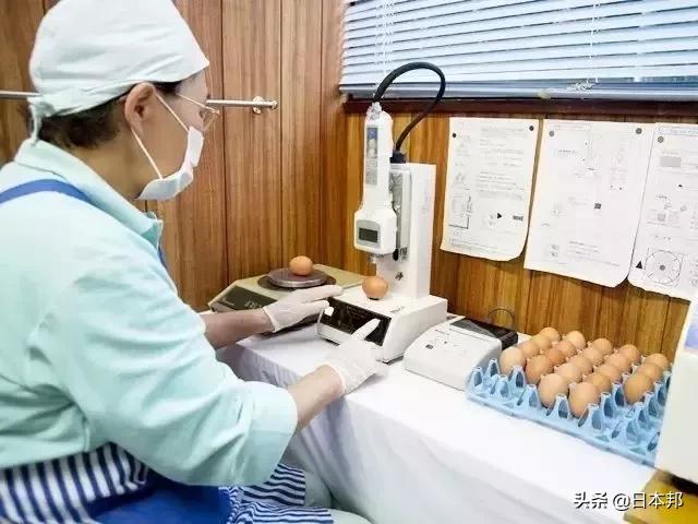 Tại sao người Nhật lại thoải mái ăn trứng sống dù có thể gây ngộ độc, tử vong?