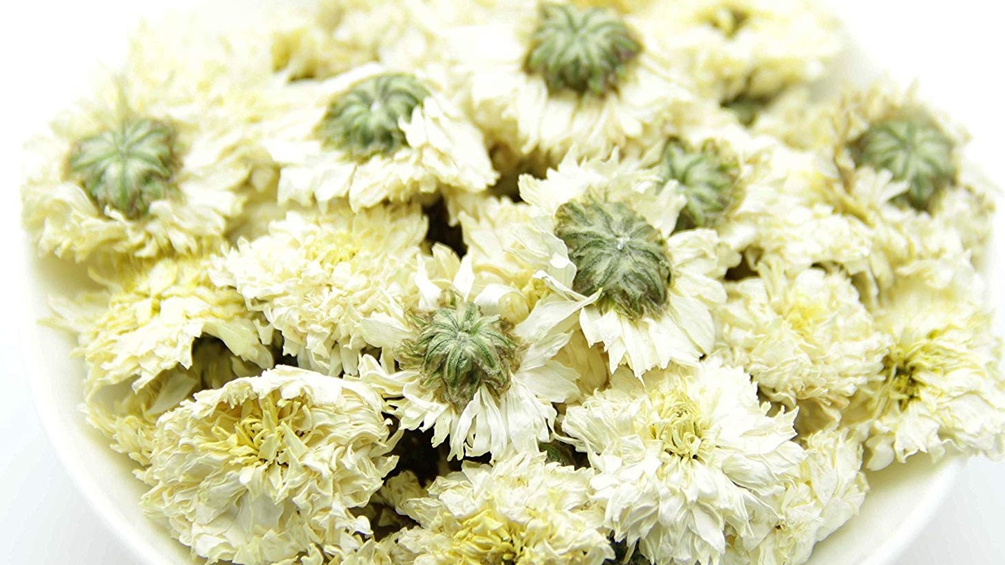 Cúc hoa trắng tác dụng kháng khuẩn, trị tăng huyết áp, làm sáng mắt