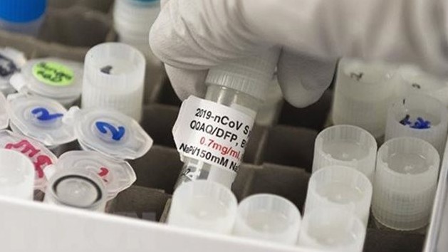 Vietnam tests Covid-19 vaccine on mice