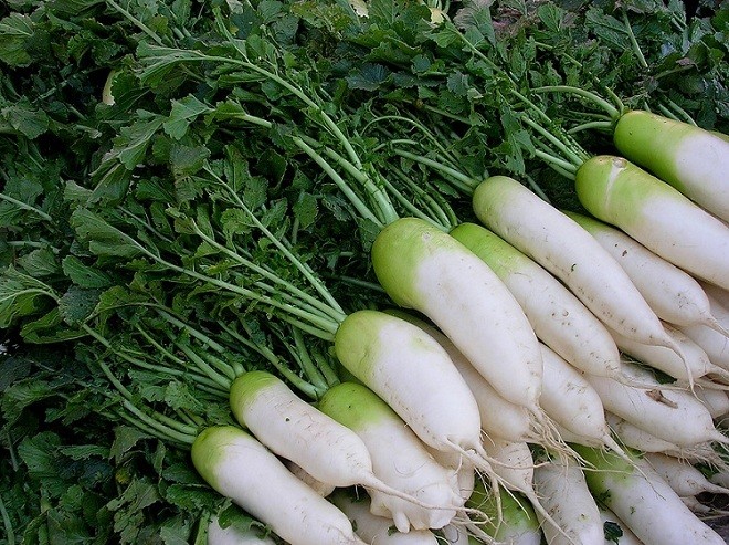 8 lợi ích không ngờ của củ cải