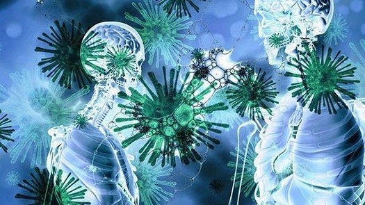 5 bí ẩn về virus SARS-CoV-2
