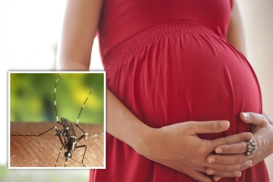 Tăng cường phòng chống dịch bệnh do virus Zika, sốt xuất huyết