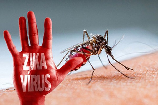 Phát hiện nam thanh niên mắc Zika tại Đà Nẵng