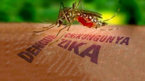 Zika virus can cause serious birth defects in newborns (Photo: WP)