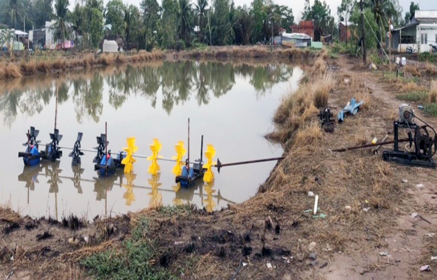 Bệnh nhân H. bị sục khí nuôi tôm cuốn vào gây tổn thương bộ phận sinh dục