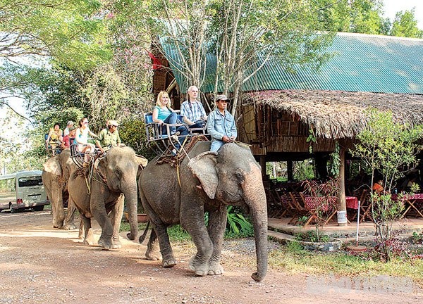 Nữ du khách bị gãy 4 xương sườn trong lúc cưỡi voi ở Đắk Lắk