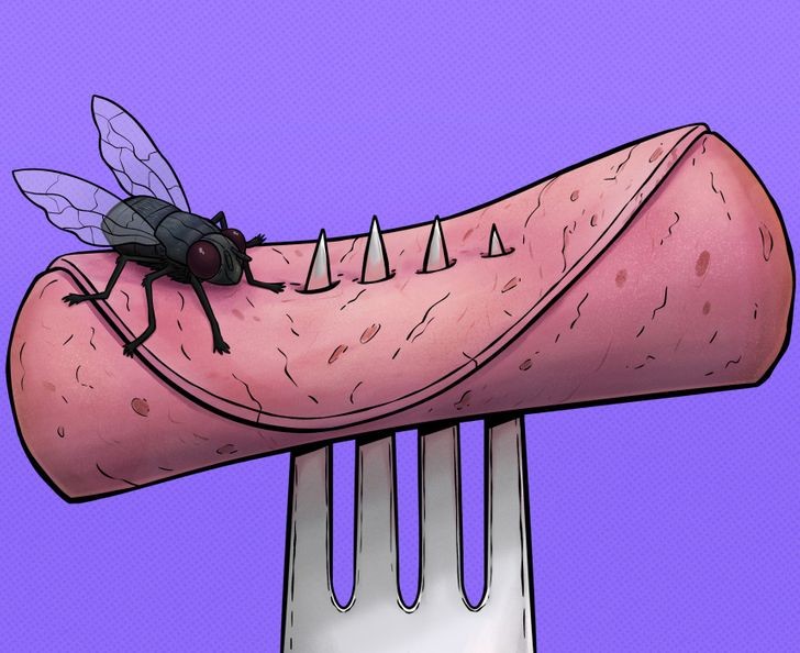 3 sự thật khủng khiếp khi ruồi đậu lên đồ ăn, ổ bệnh chực chờ mà ít người biết