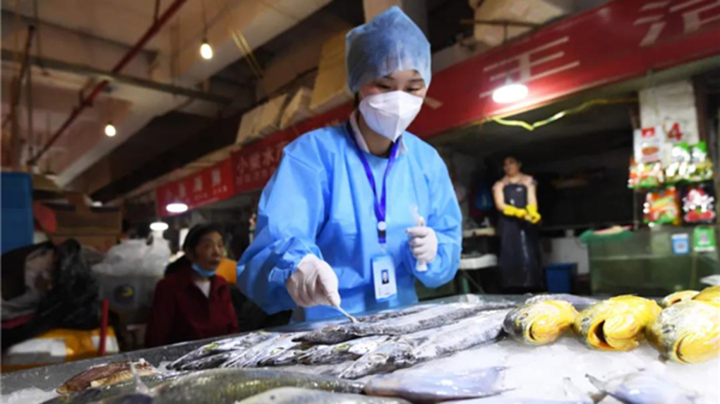 Trung Quốc siết chặt giám sát thực phẩm đông lạnh ngừa Covid-19