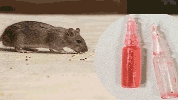 Bé 17 tháng tuổi tử vong do thuốc diệt chuột