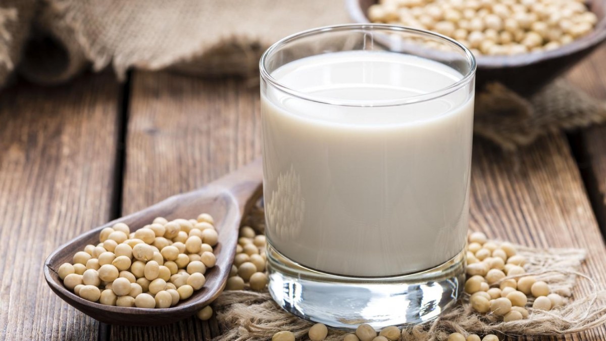 Uống sữa đậu nành có làm to ngực?