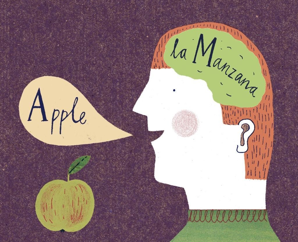 Học ngoại ngữ 'bổ' não