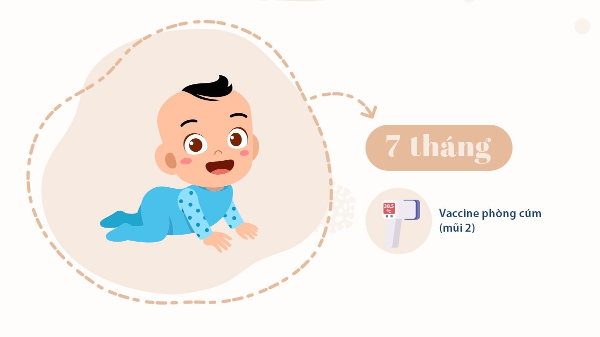 Vaccine cho trẻ 7-12 tháng tuổi