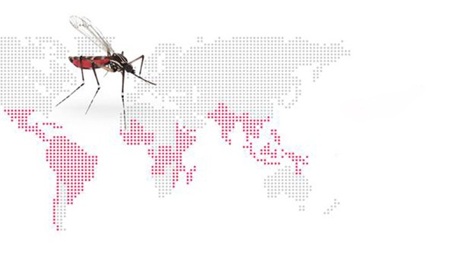 Chủ động diệt muỗi phòng sốt xuất huyết
