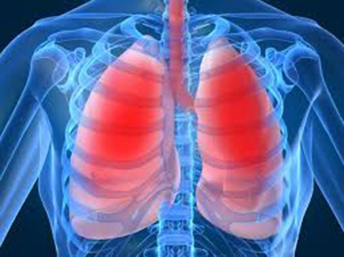 Cách nào giữ lá phổi sạch?