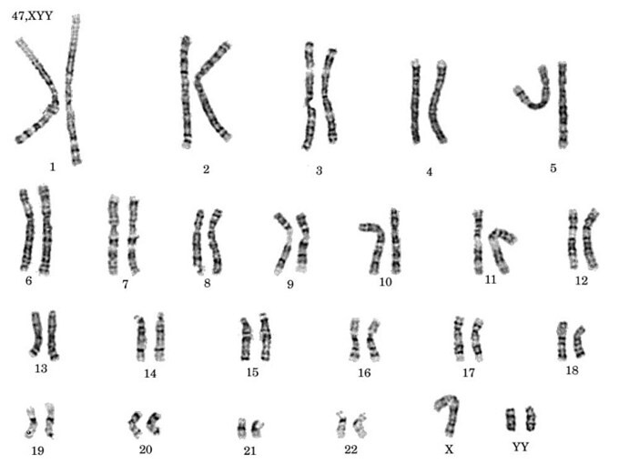 Mô phỏng phân tích gene trong cơ thể con người. Ảnh: Easy notecards