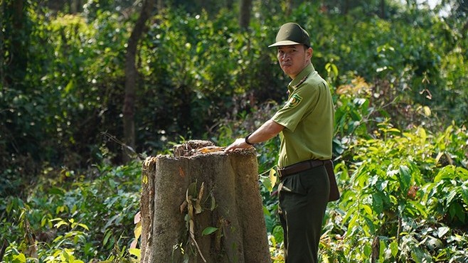 Gaur dies of old age in Vietnam nature reserve