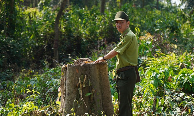 A forest ranger on patrol inside the Dong Nai Culture and Nature Reserve in southern Vietnam, 2020. Photo by VnExpress/Phuoc Tuan.