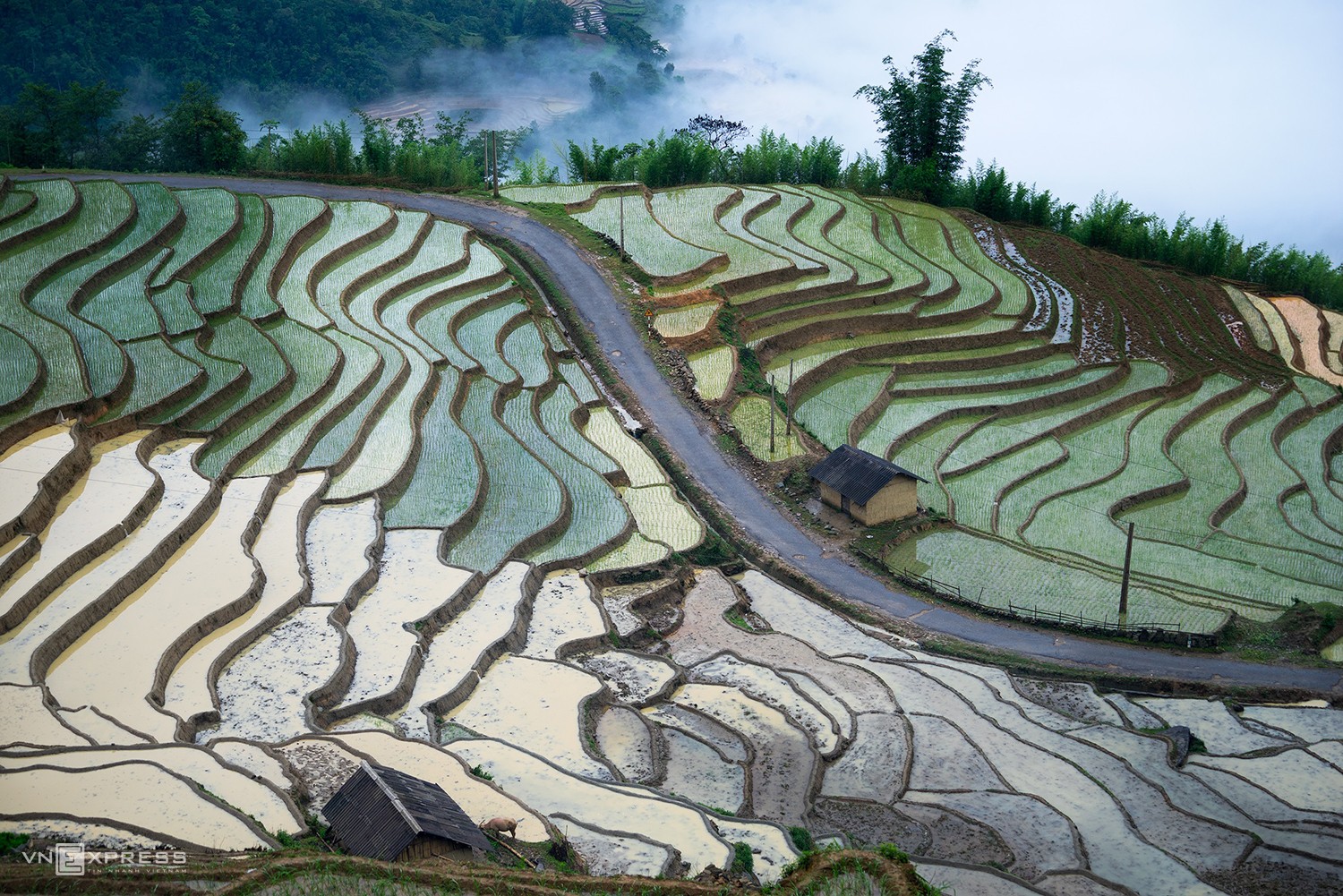 Rice terraces along a sloping road in Ngai Thau Commune in the early morning.

The road to Ngai Thau is more difficult due to its sloping hills and winding roads, and thus is also more fascinating.