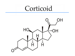 corticoid