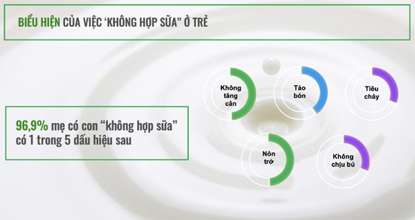 Theo báo cáo nghiên cứu thị trường do Công ty Tư Vấn & Nghiên Cứu Thị Trường Anh Mỹ thực hiện