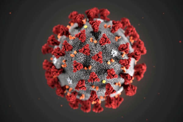 Tạo hình 3D virus corona, được thực hiện bởi Trung tâm Kiểm soát và Phòng ngừa dịch bệnh Mỹ. Ảnh: Reuters