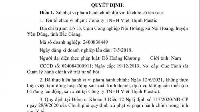 Nôi dung quyết định xử phạt Công ty TNHH Việt Thịnh Plastic.