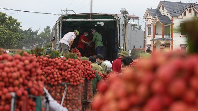 Agricultural exports up 28.2 pct