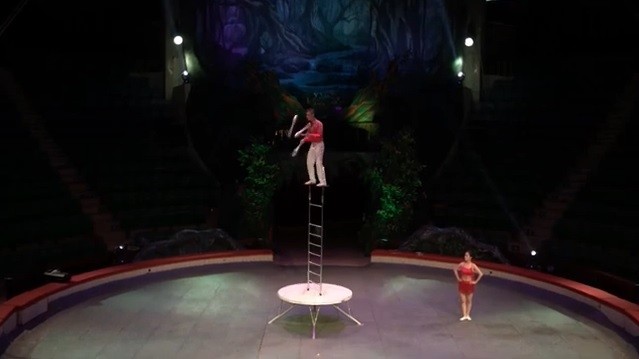 Circus artist Pham Viet Cuong performs the show 