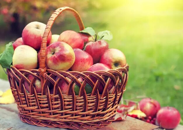 Bảo quản trái cây giữ vị tươi ngon, 4 loại quả này "không thích" tủ lạnh