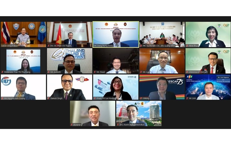 Delegates at the webinar