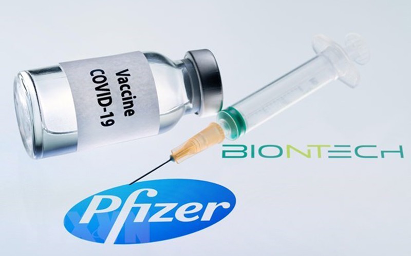 Vaccine ngừa Covid-19 của Pfizer. (Ảnh: AFP/TTXVN)