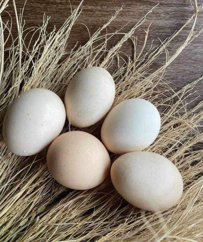 Trứng gà đừng luộc hay kho, làm trứng chảy chiên xù ai thấy cũng thèm