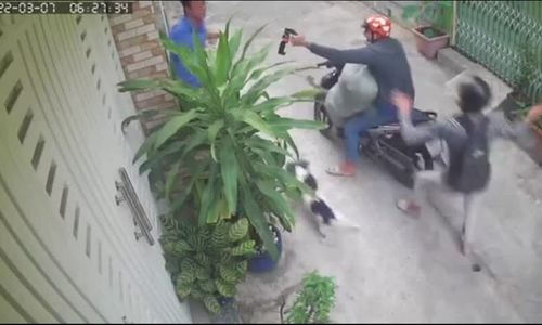 Thieves use pepper spray on dog owner in HCMC