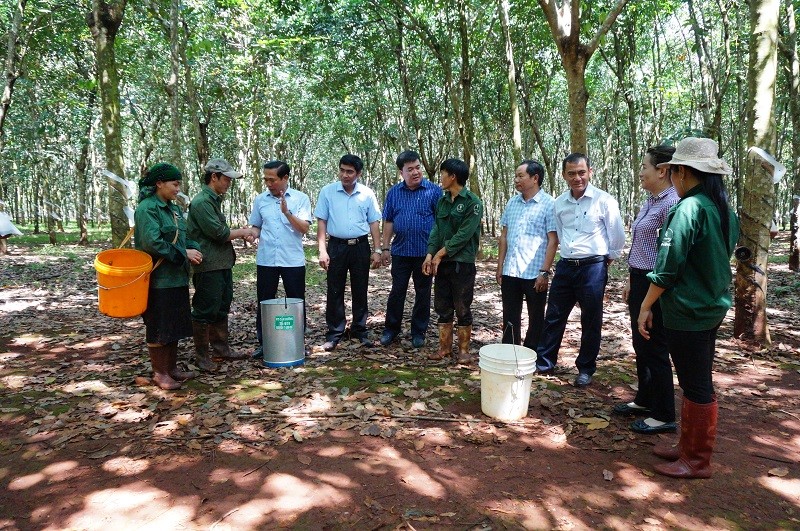 Lãnh đạo Công ty Cao su Đồng Nai thăm hỏi công nhân người dân tộc thiểu số tại nông trường cao su Cẩm Đường.