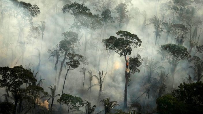 Nhiều khu vực của "lá phổi xanh" Amazon có nguy cơ không thể phục hồi