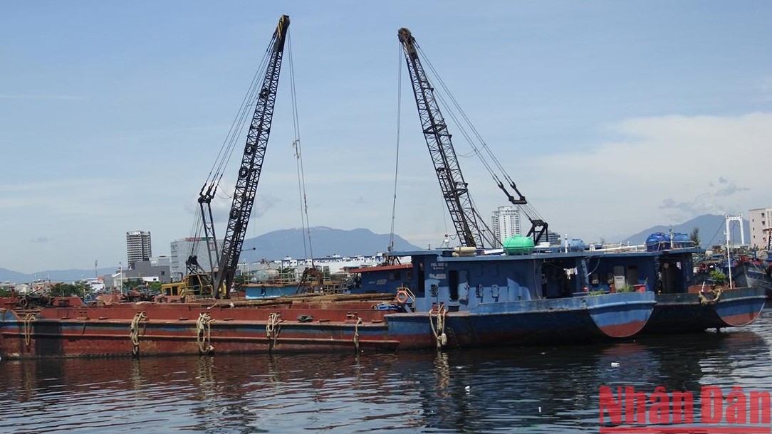 Đà Nẵng tăng cường xử lý ô nhiễm môi trường tại âu thuyền và cảng cá Thọ Quang