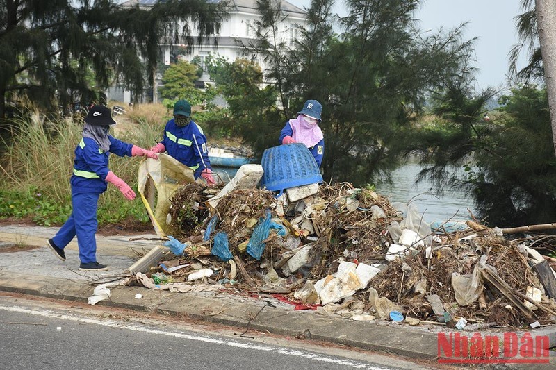 Thu gom rác xung quanh khu vực âu thuyền và cảng cá Thọ Quang.
