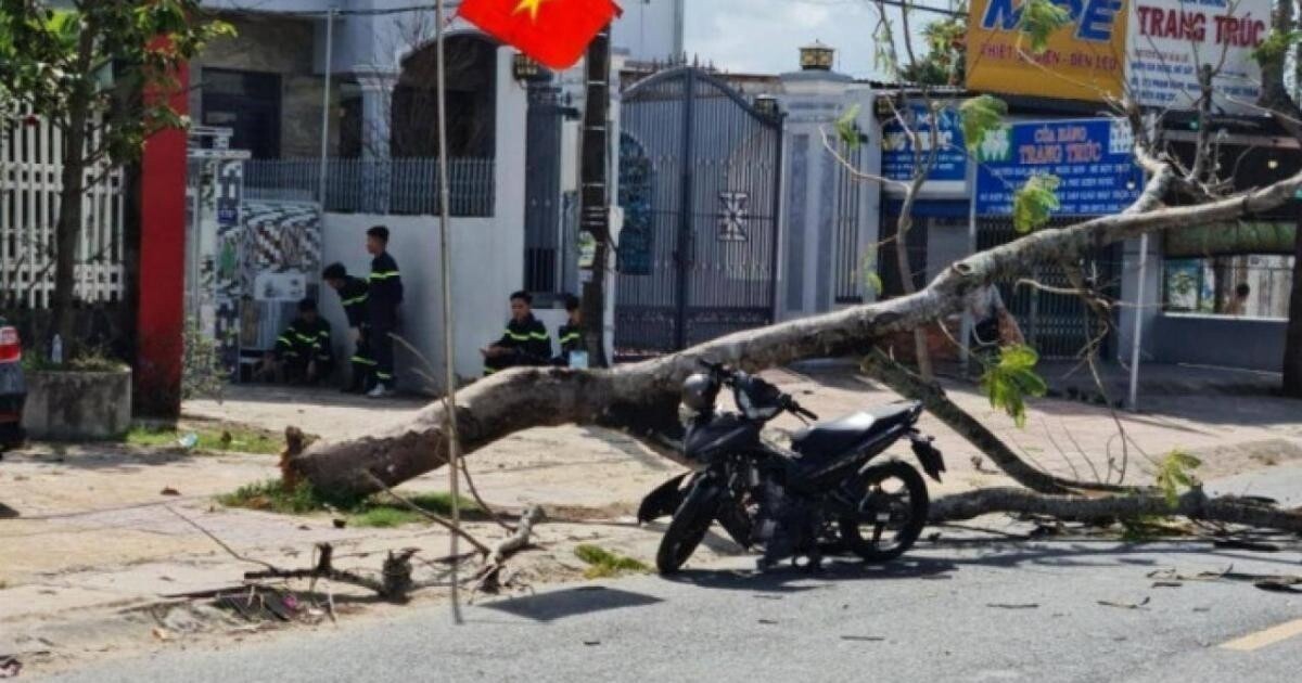 Hiện trường cây điệp ngã đè trúng 2 thanh niên đi xe máy trên đường Phạm Hùng.