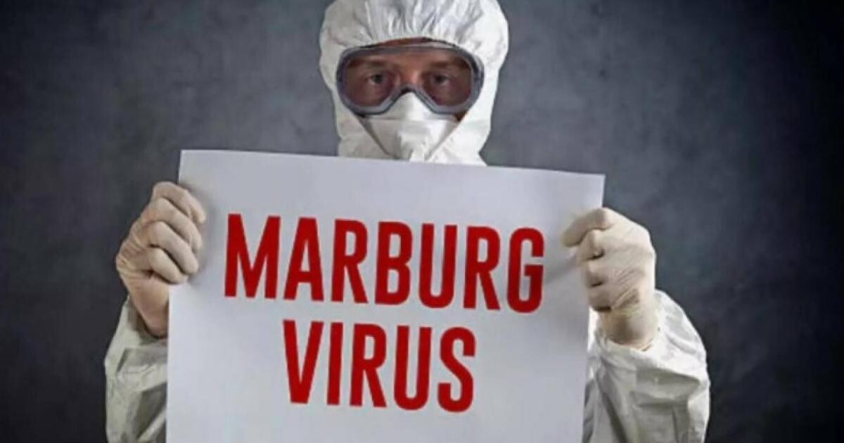 Cảnh báo căn bệnh truyền nhiễm nguy hiểm từ virus Marburg (ảnh minh họa)