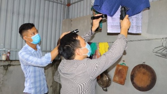 Dịch bệnh đan xen, Thái Bình tổ chức đồng loạt tổng vệ sinh môi trường