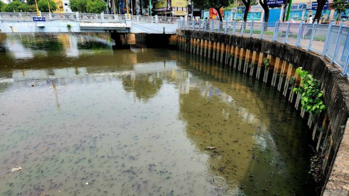 Theo người dân sống dọc kênh Thị Nghè - Nhiêu Lộc cho biết, sau trận mưa tối 15/4 đã bắt đầu xuất hiện tình trạng cá nổi lên đớp khí dày đặc.